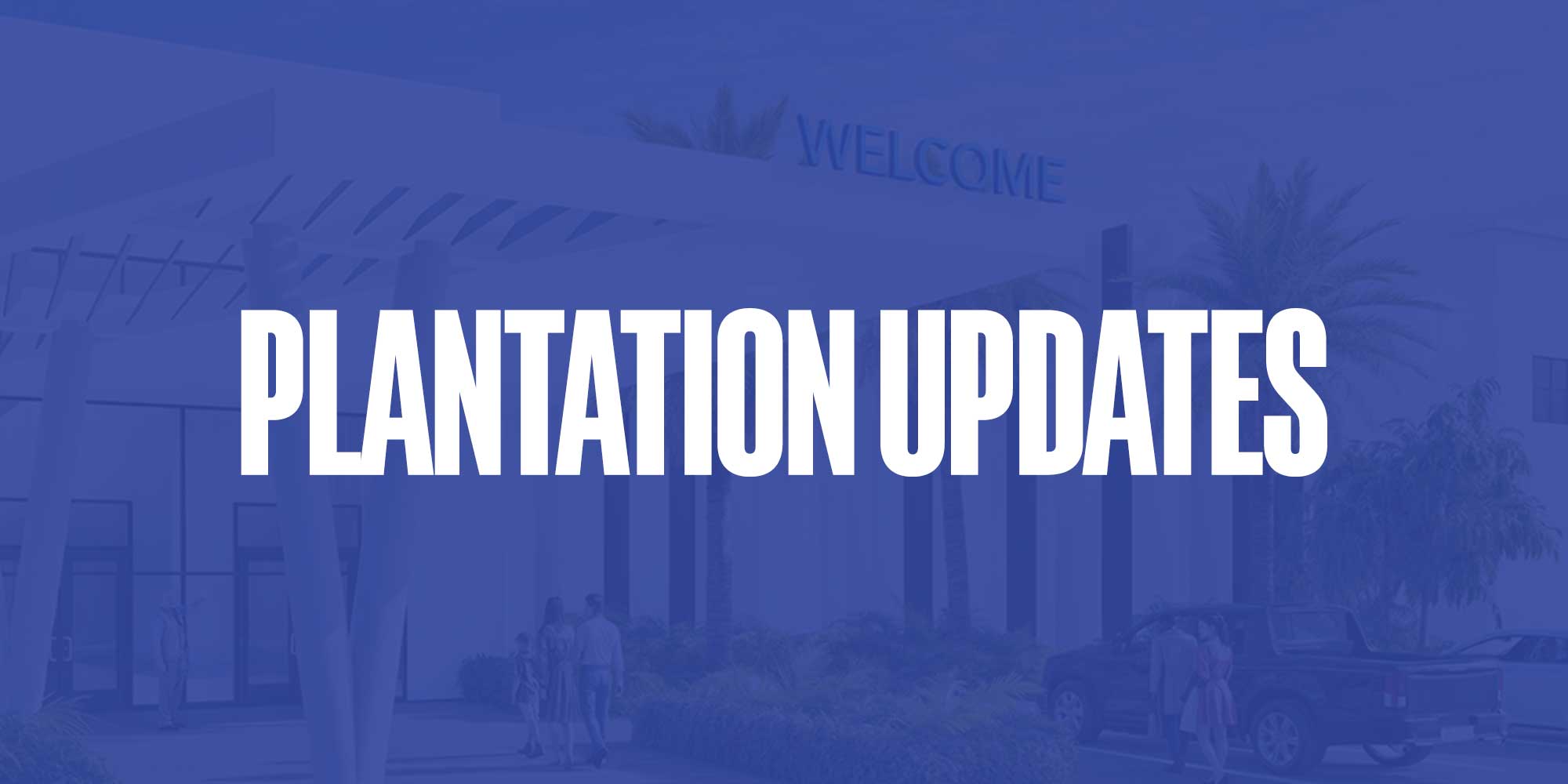 Plantation Updates October 2025